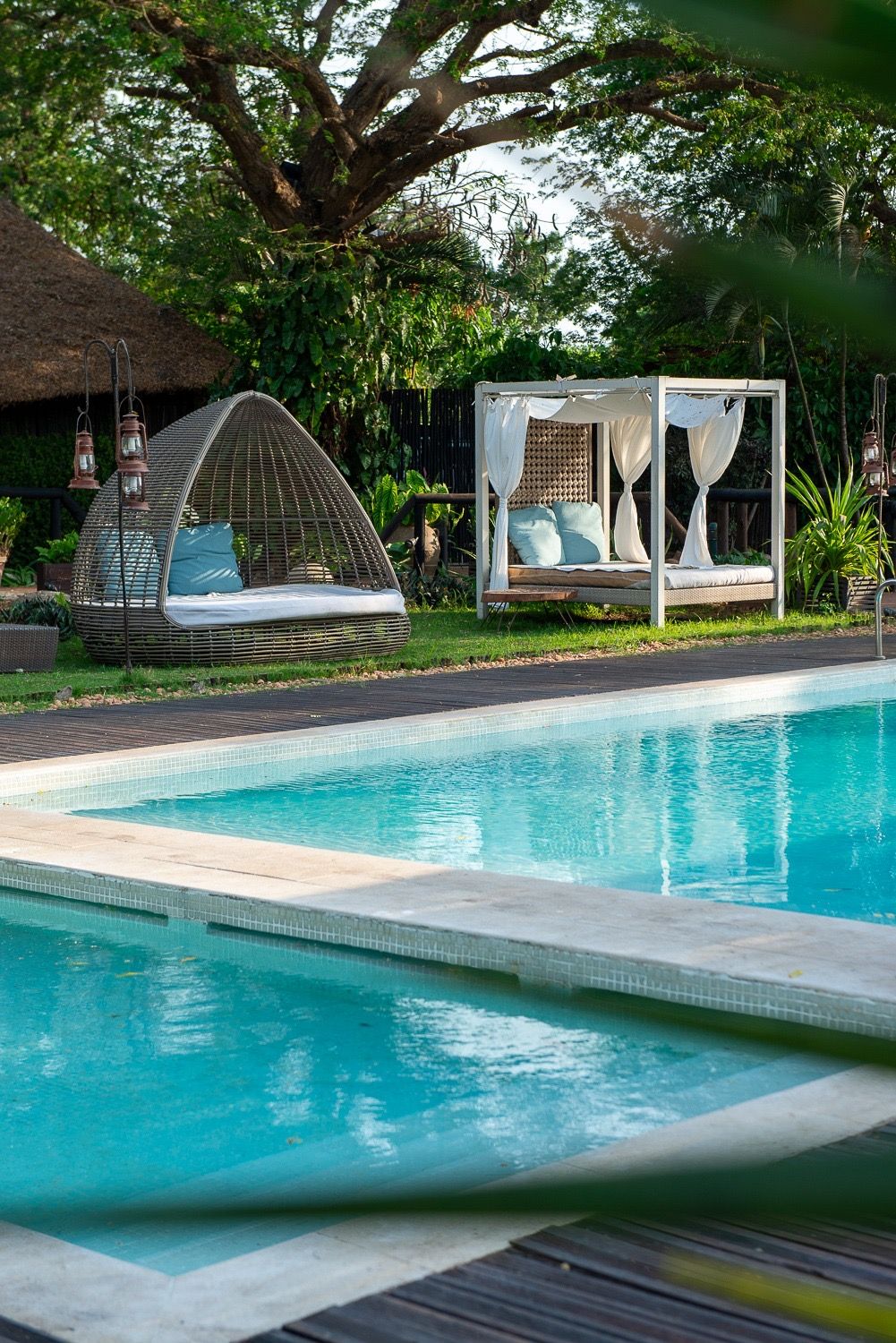 Pool edge with curtained daybeds on the lawn