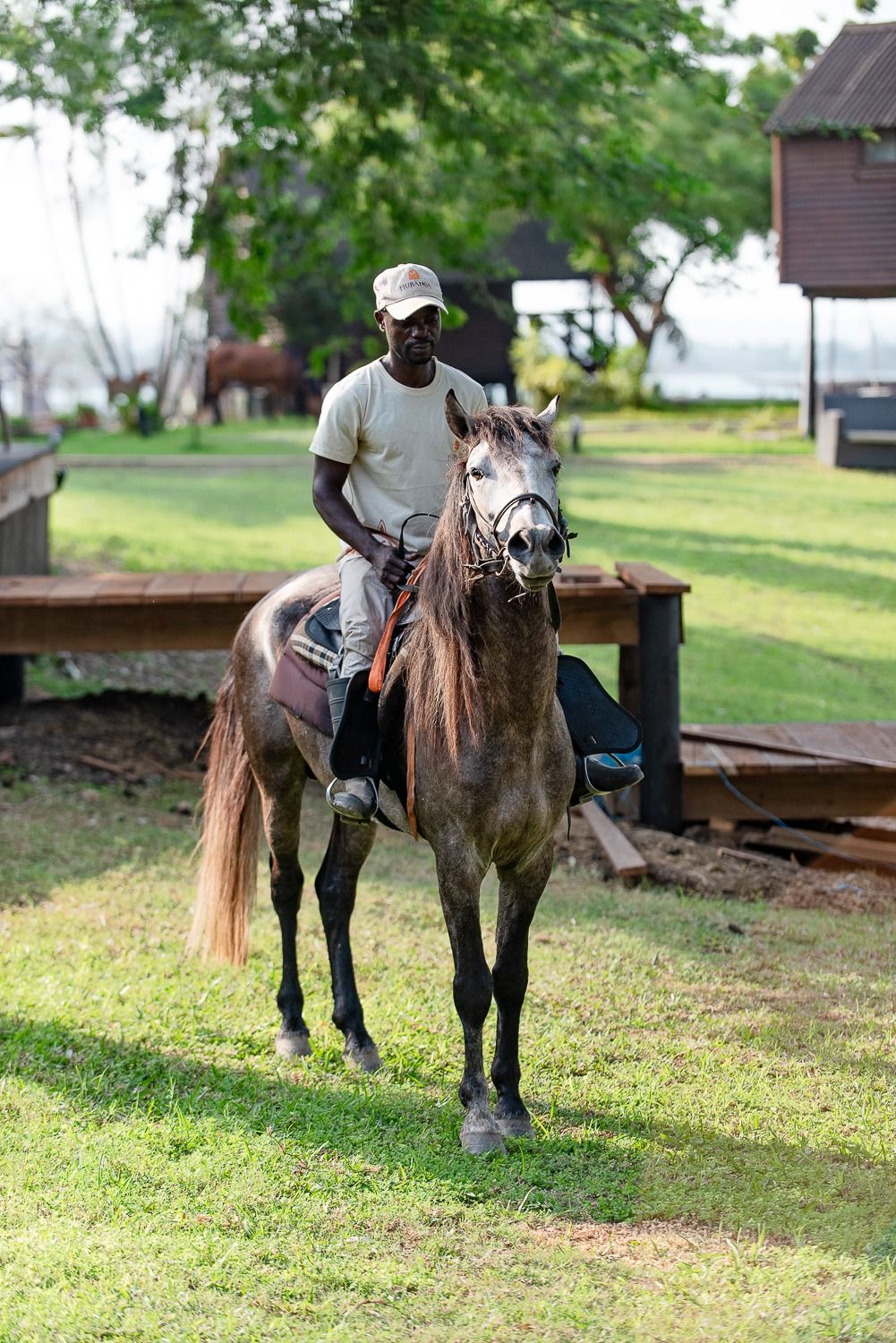 Guide sitting on a grey horse on the lodge lawn