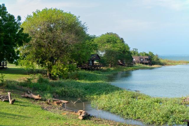 Wooden cabanas among the trees along the lagoon shore