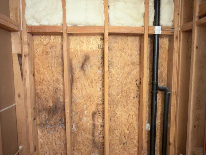Shared Bathroom remodel — before