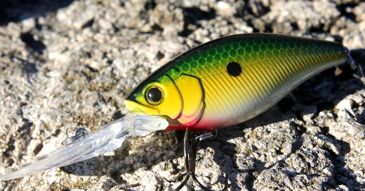 How To Fish A Deep Crankbait For Summer Studs