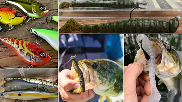 Up North Angler: 5 Bass Baits That Are Crushing Right Now