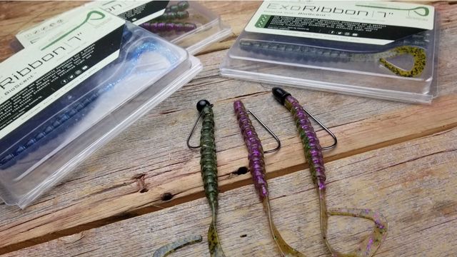 How to Fish a Ribbon Tail Worm  