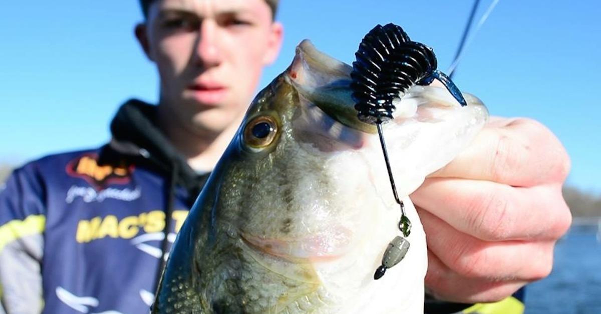4 Techniques Every Bass Angler Should Know
