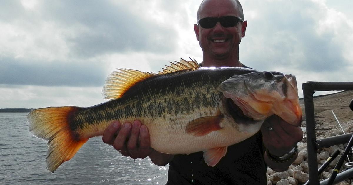 How To Catch Bass In High Water