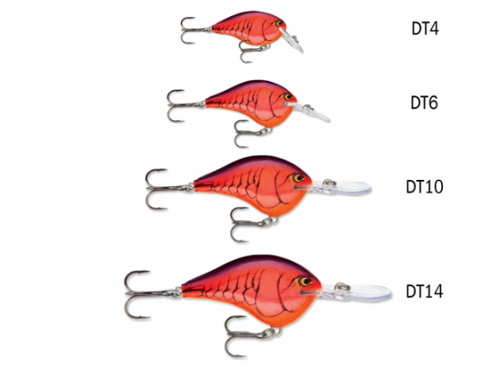 Everything You Need To Know About The Rapala DT Series Crankbaits