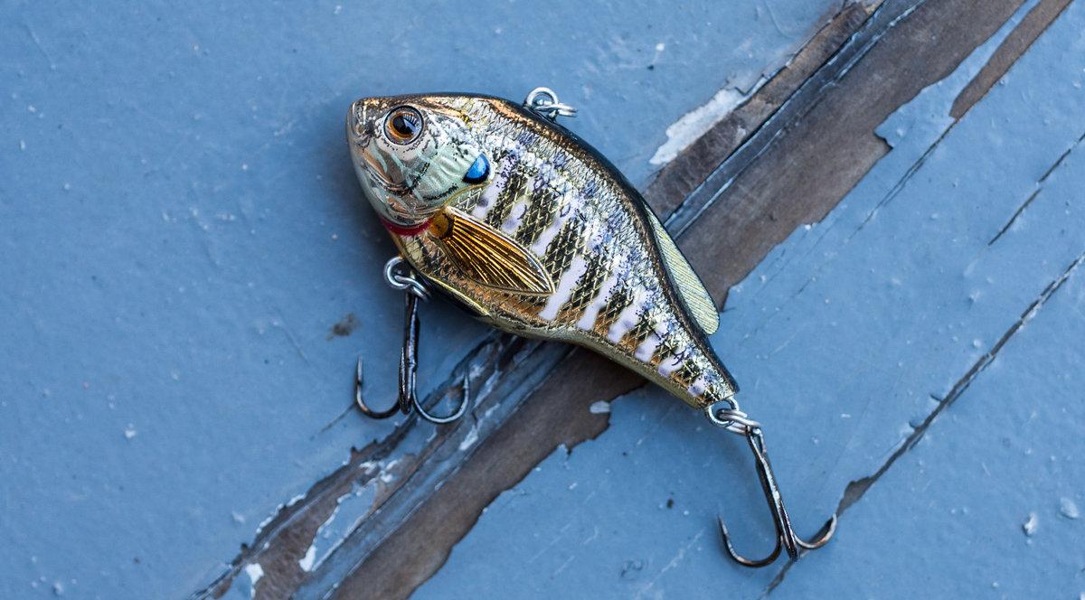 The 3 Best Ways To Fish Grass In The Summertime