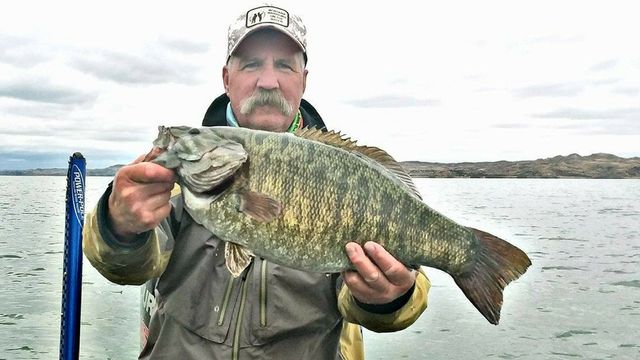 Every Single State Smallmouth Bass Record, Listed
