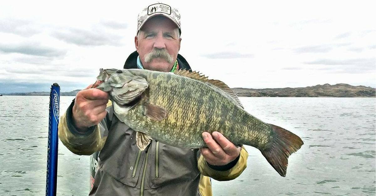 Every Single State Smallmouth Bass Record, Listed