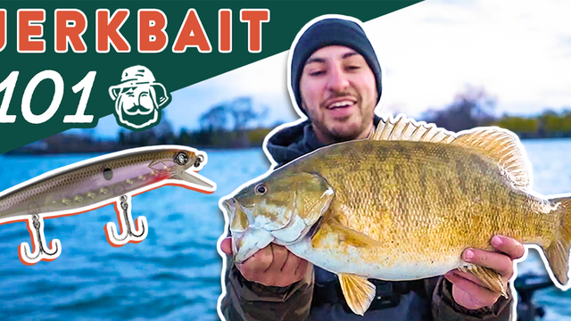 Jerkbait Fishing 101 | Bass Fishing Video Tips