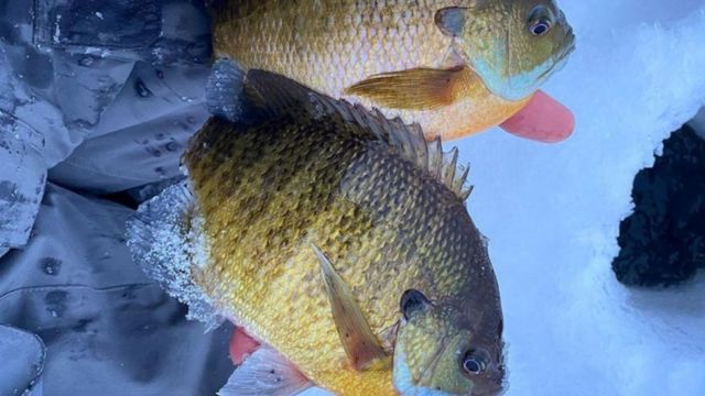 Hardwater Hacks: How To Prepare For The Ice Fishing Season