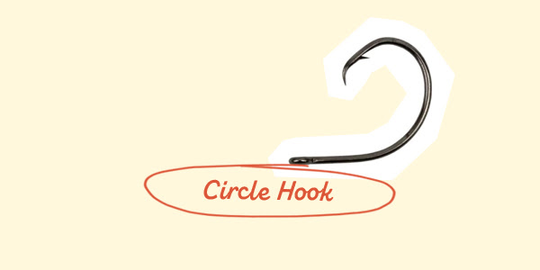 Circle Tune Hooks Aberdeen Baitholder Worm Limerick Hooks Carp