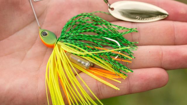 How To Use Spinnerbaits To Catch Early Season Bass