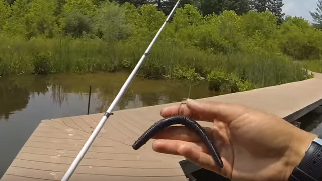7 Unique Soft Plastics You Need To Try On A Wacky Rig