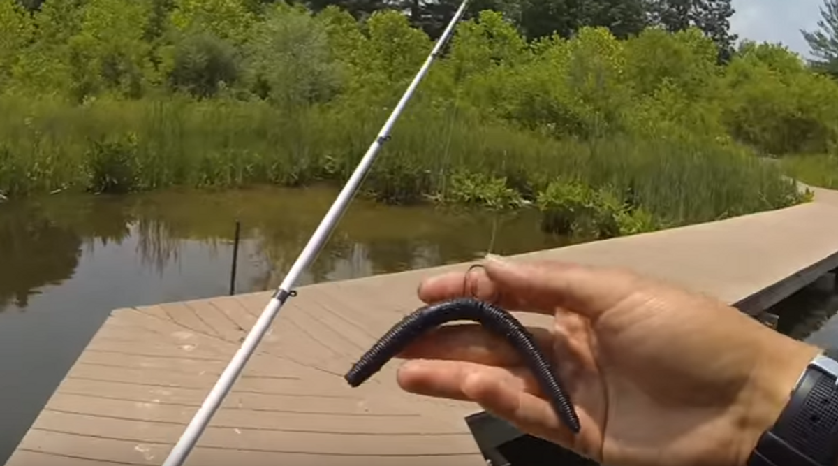 7 Unique Soft Plastics You Need To Try On A Wacky Rig
