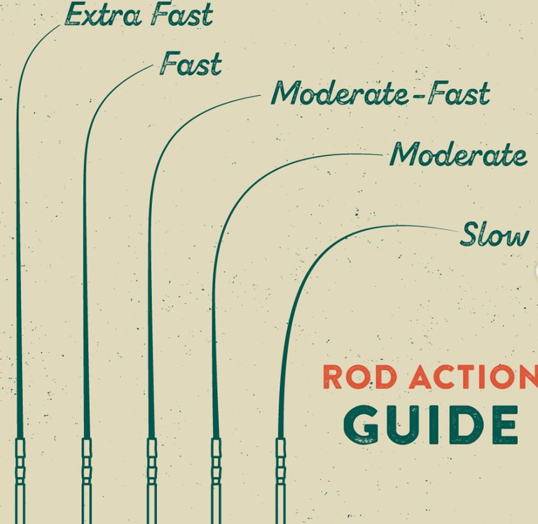 The Best Bass Casting Rod Under 100 One GoTo Pole That Can Do It All