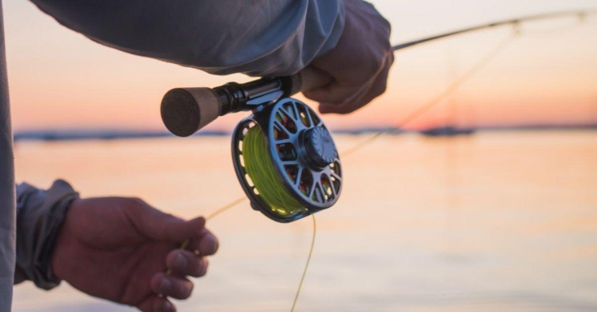 Fly Fishing 101: How To Pick The Perfect Rod & Reel