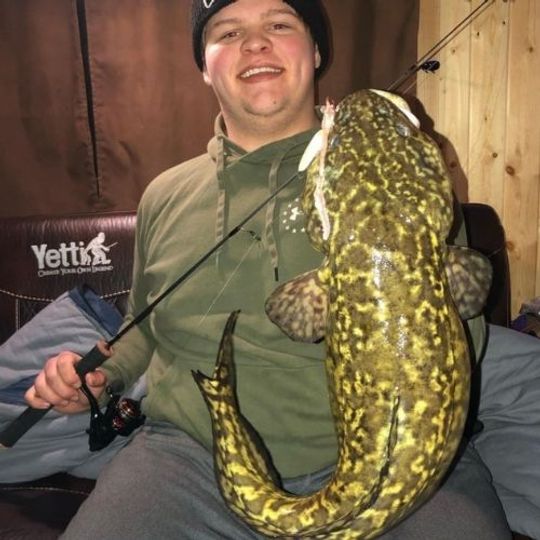 Greaser Fishing 101: How To Catch Burbot Through The Ice