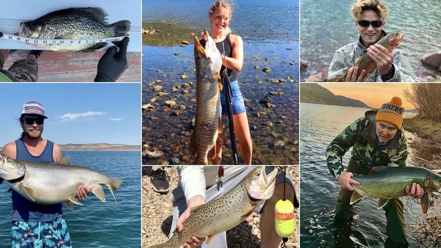 10 Record-Setting Fish Caught In Utah This Season