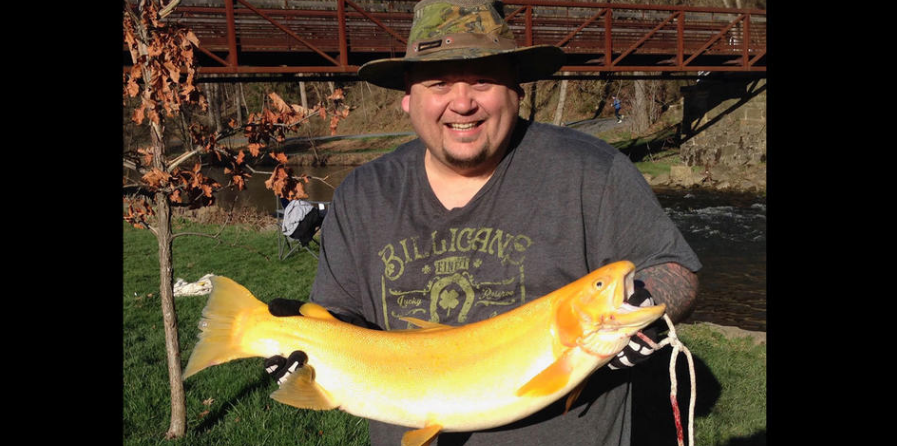 Palomino trout deals