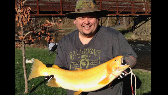 Pennsylvania Man Catches Potential Record Breaking Palomino Trout