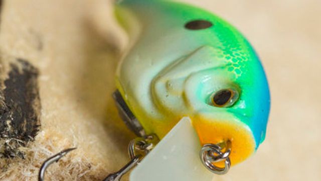 When To Use A Soft-Bodied Squarebill To Catch More Fish