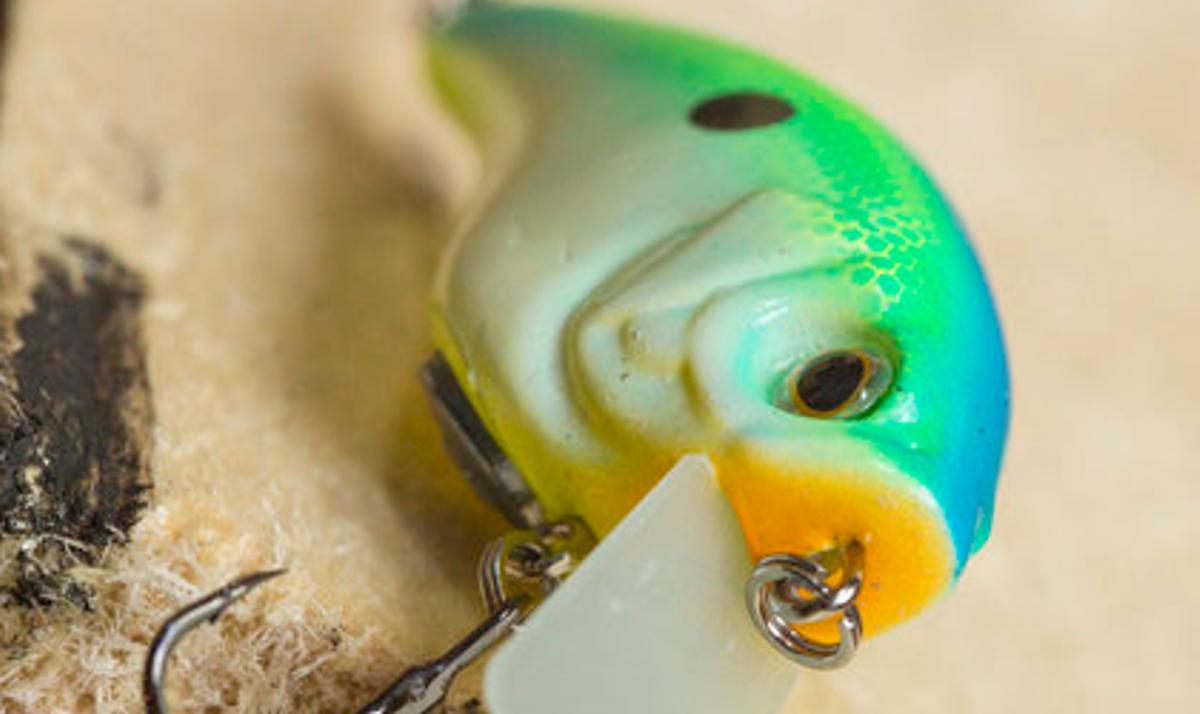 When To Use A Soft-Bodied Squarebill To Catch More Fish