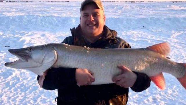 Watch A 50 Pound Fish Get Pulled Through A TINY Hole In The Ice