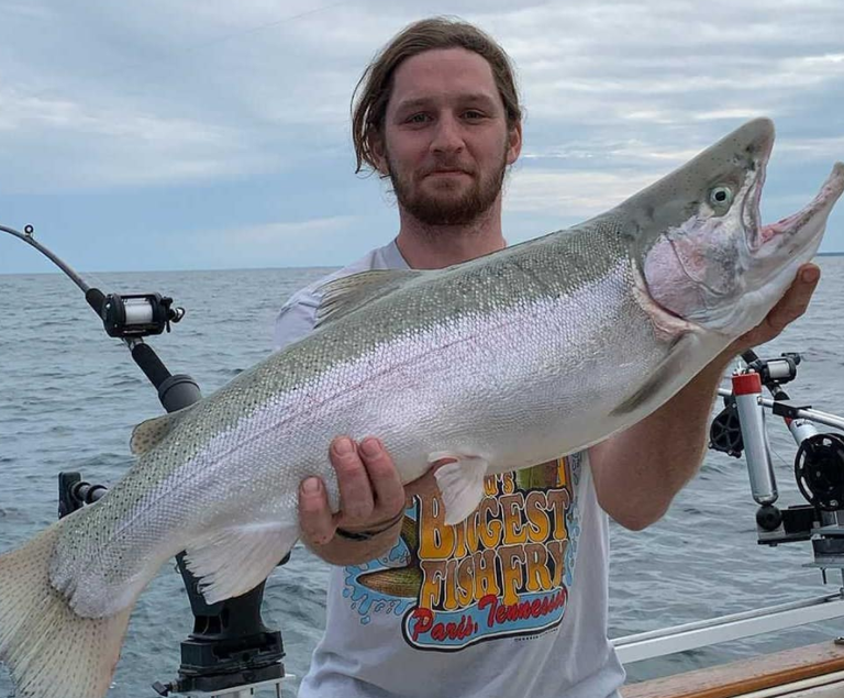 What Do Trout Actually Eat? An Inside Look At The Diet Of A Trout