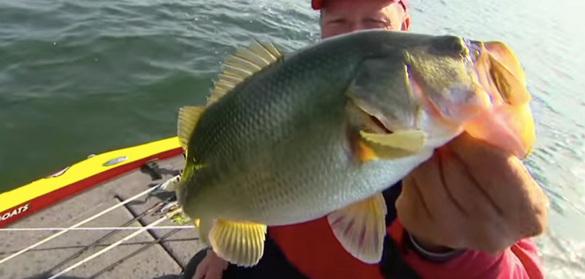 Bassmaster Classic Champ Boyd Duckett Challenged by Todd Hollowell: It's a Fish-Off! [VIDEO]