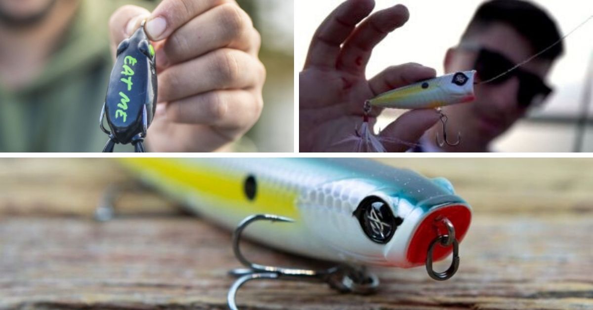 3 MUST HAVE Topwater Lures for Summer Bass Fishing! 