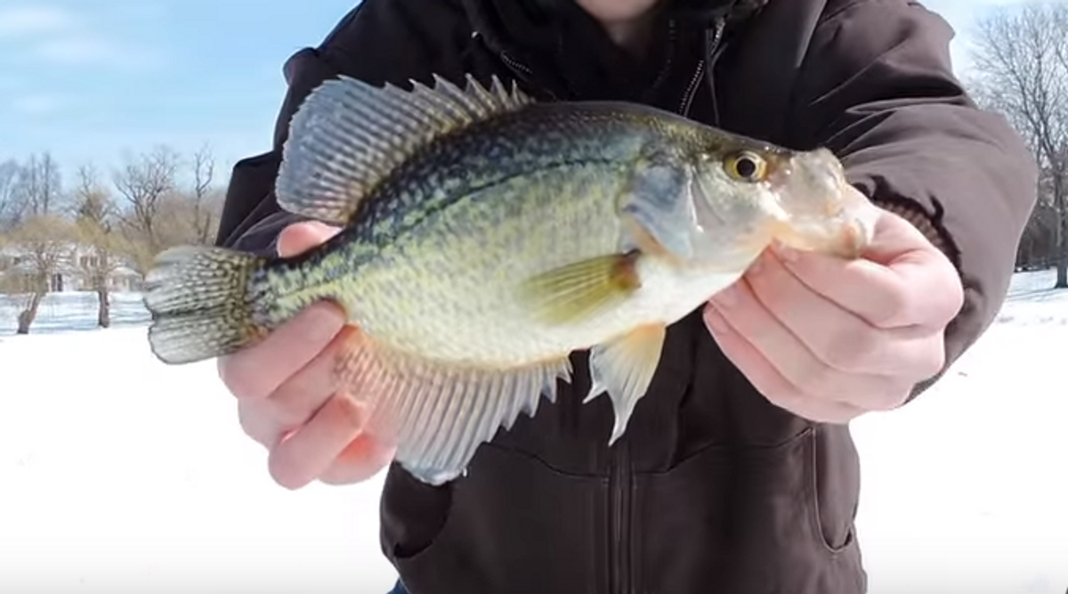 Late Season Ice Fishing For Crappie