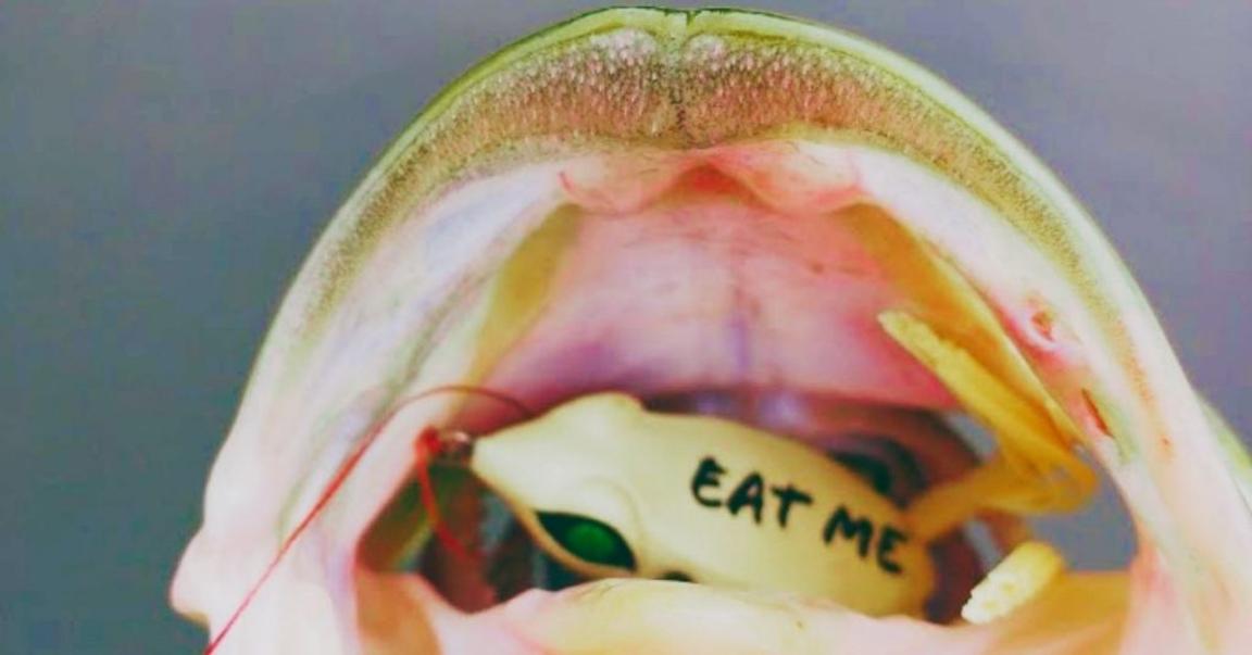 Ask An Angler Can You Fish A Topwater Frog On A Spinning Rod?