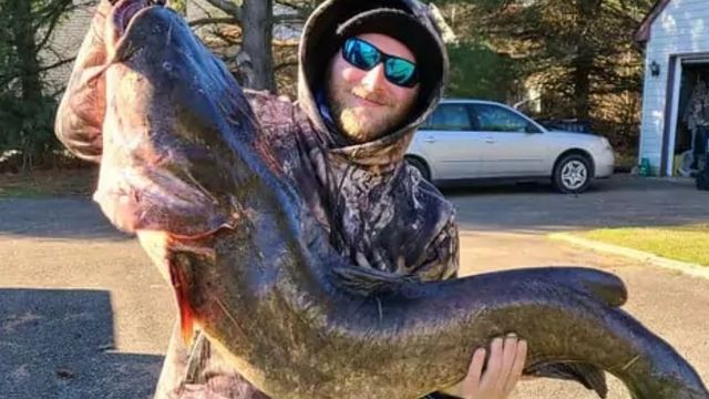 Man Catches 57 Pound, State Record Catfish On A Bass Swimbait