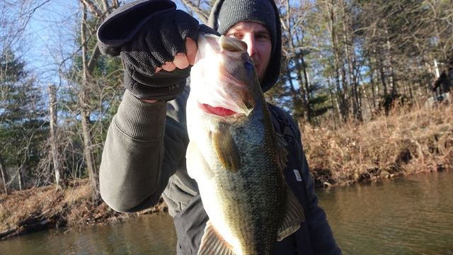 A Few Simple Tricks For Catching Cold Water Bass