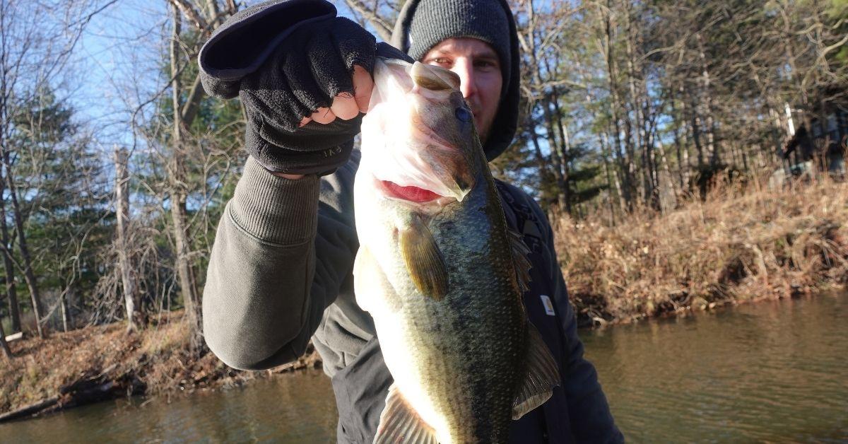 A Few Simple Tricks For Catching Cold Water Bass