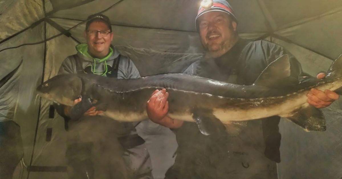 Watch A 120 Pound Prehistoric Fish Get Pulled Through The Ice