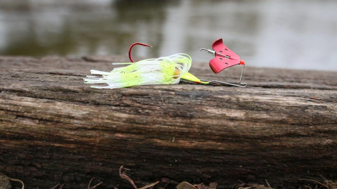 7 Topwater Fishing Tips To Dominate The Surface