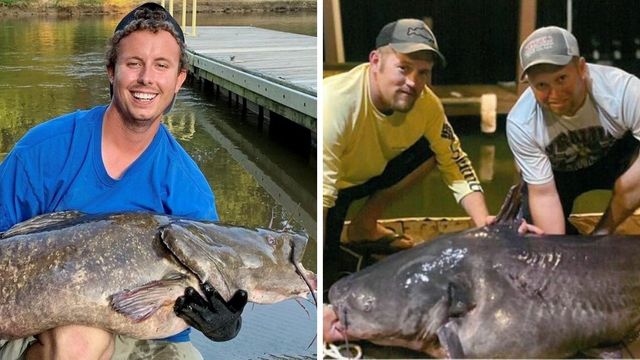 2 Record Catfish Landed By North Carolina Anglers In The Same Month!