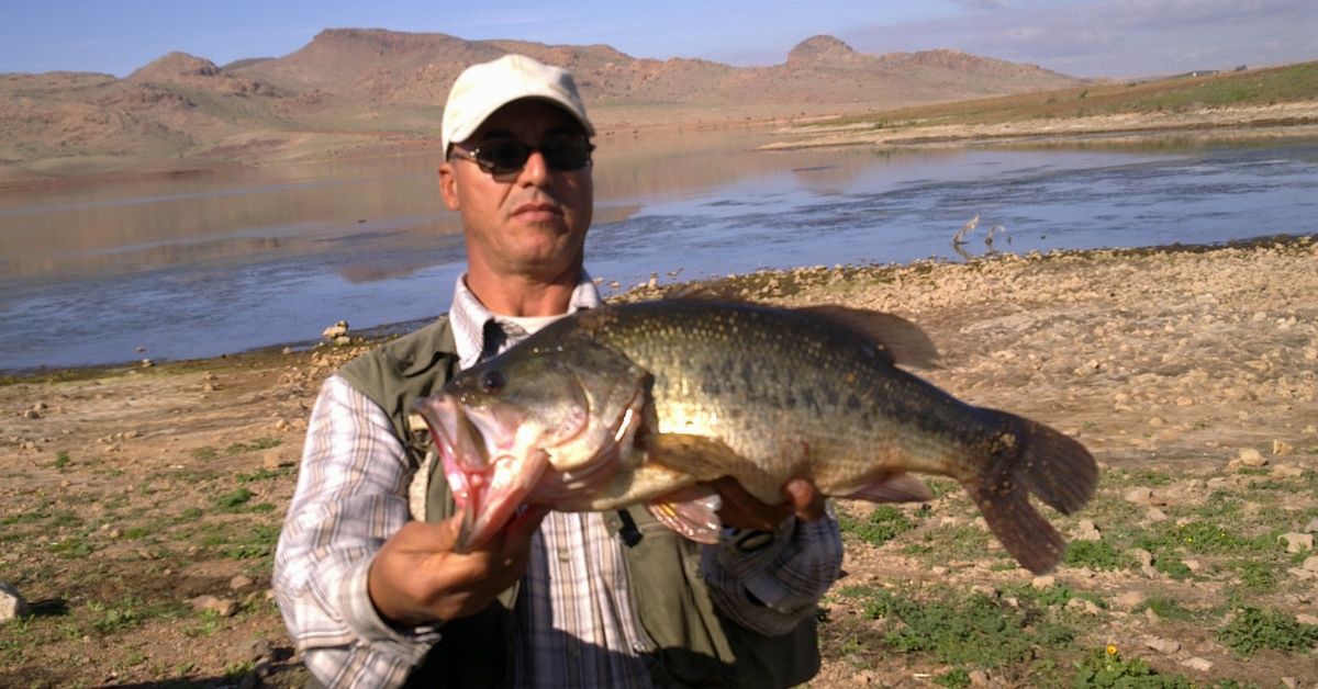 How To Catch Bigger Bass  The #1 Ultimate Trophy Bass Guide