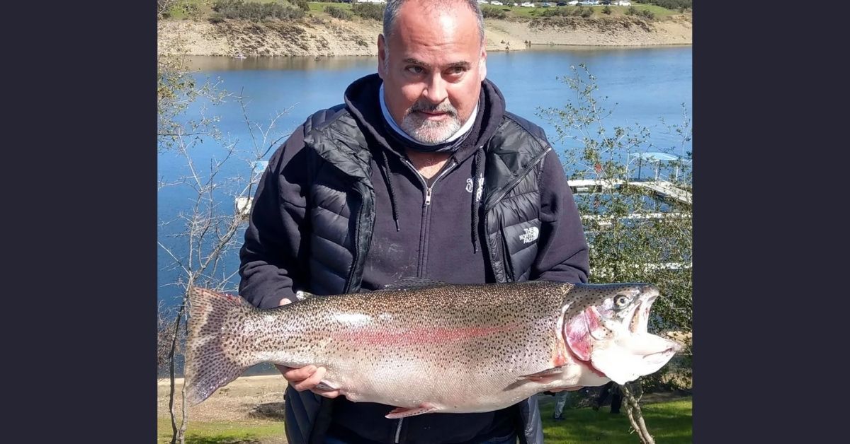 A medium-sized German brown trout, measuring about 16 inches, struggles  against the line after striking a jointed Rapala lure. The fish was  released back into Edison Lake near Fresno, California. (Photo by