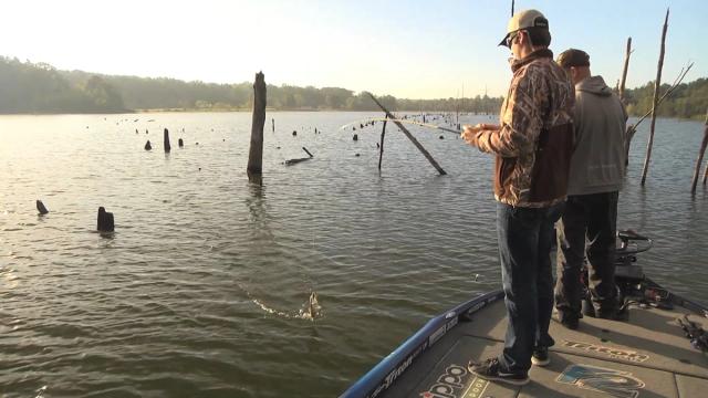 Fall Bass Fishing Tips To Help You Dominate The Season