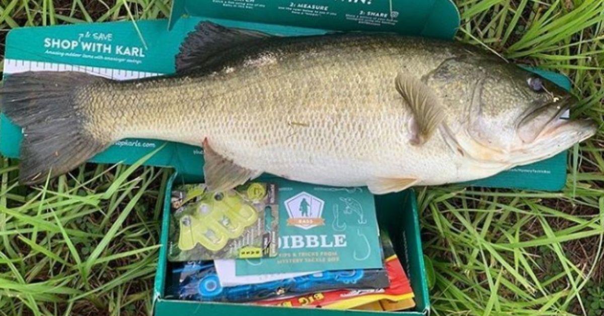 The Easiest Ways To Catch More Bass Around Docks