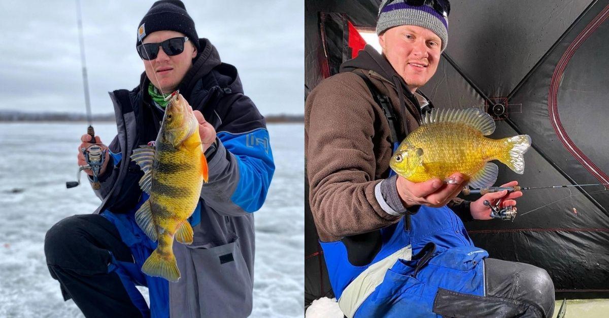 Late Season Ice Fishing Tips For Slamming Backwater Fish