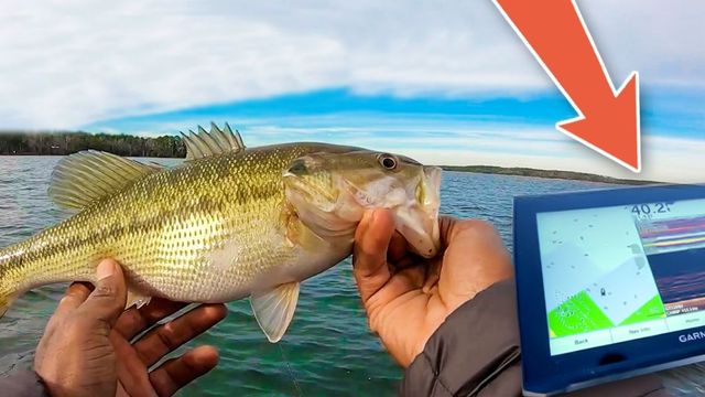 Learn How To Catch Offshore Bass From A Professional Angler!