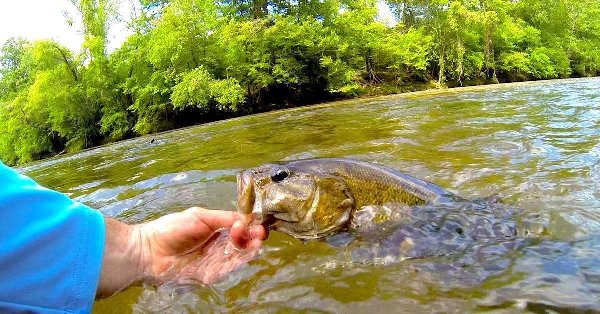 3 Things To Look For When Fishing Moving Water