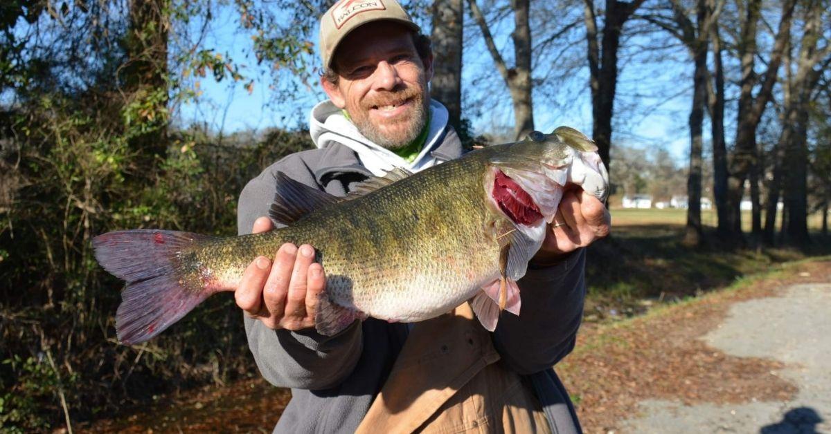 Alabama Man Catches The Georgia State Record Shoal Bass On An Alabama Rig