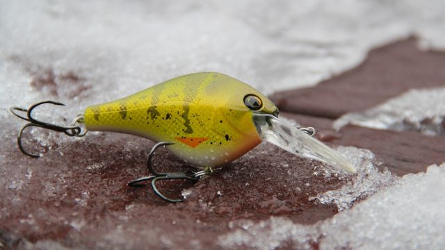 Winter Bass Fishing Tips: How To Catch MORE Bass In The Snow