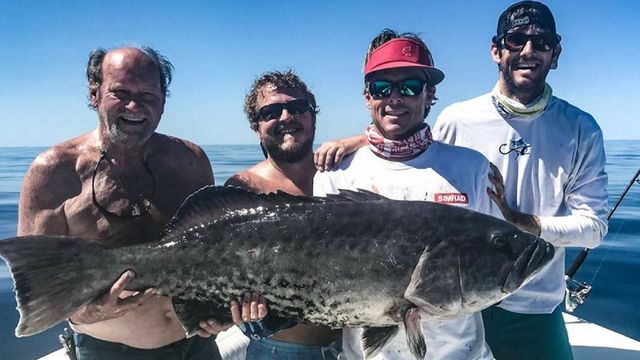 Anglers Catch State Record Grouper, Immediately Turn Him Into Tacos