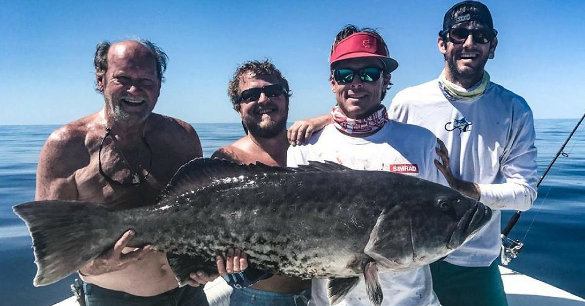 Anglers Catch State Record Grouper, Immediately Turn Him Into Tacos